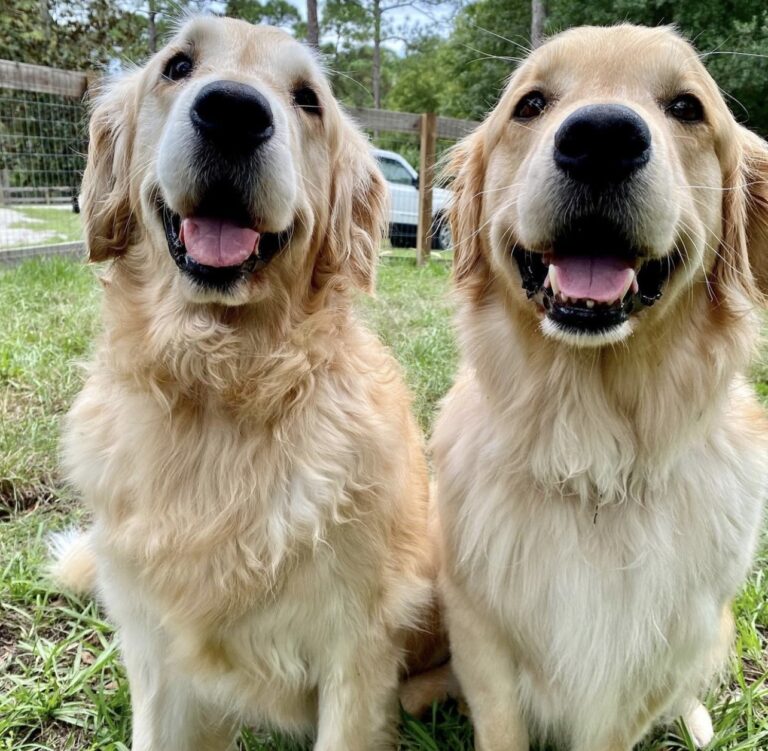 Macy and Blue smiling and posing for a picture