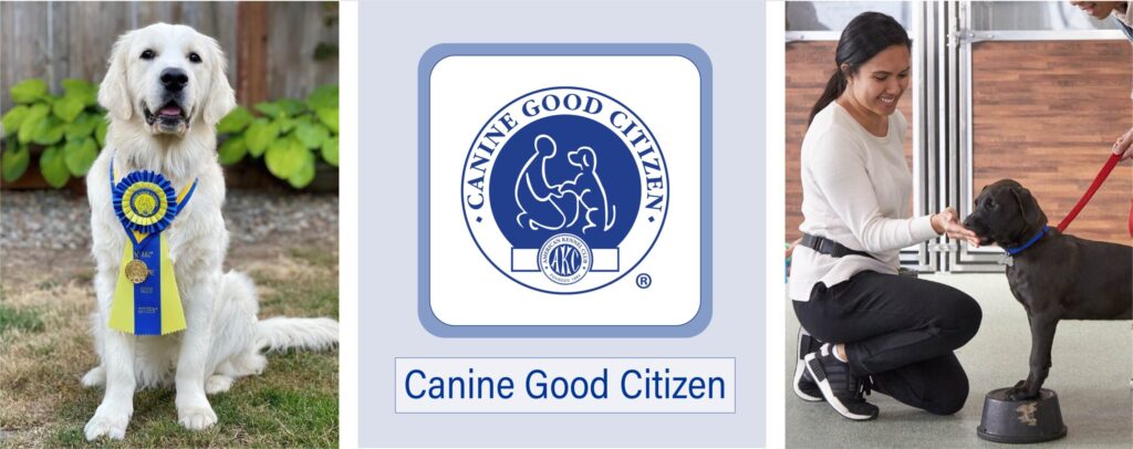 Canine Good Citizen logo and illustration with a woman helping dog